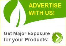 Advertise with Us