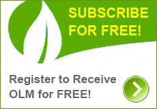 Subscribe for Free