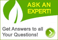 Ask an Expert